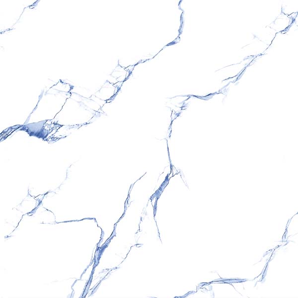 CANVAS STATUARIO BLUE