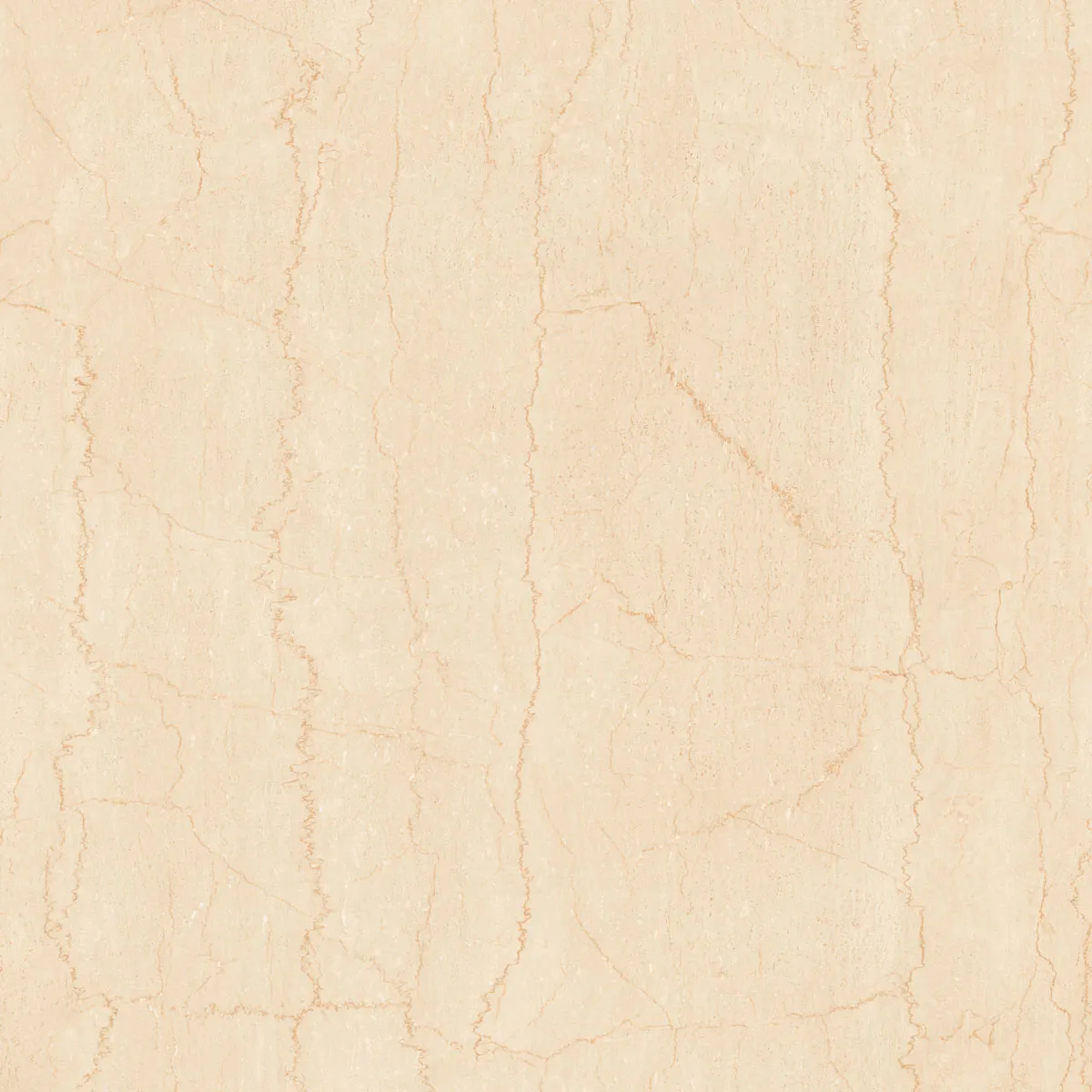 BOTTOCHINO CLASSICO 01