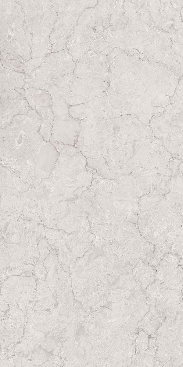 BOTOCHINO TAVERA GRAY